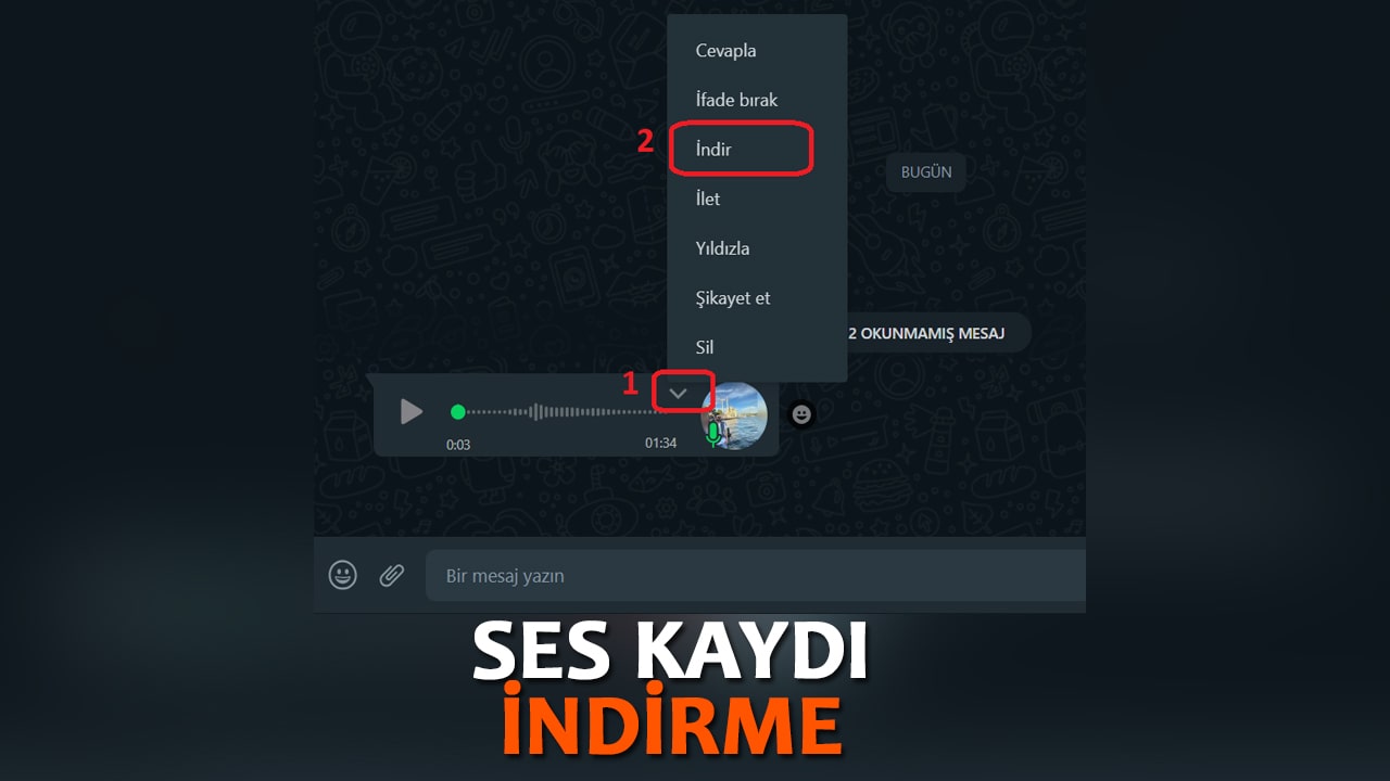 whatsapp ses kaydı indirme mp3